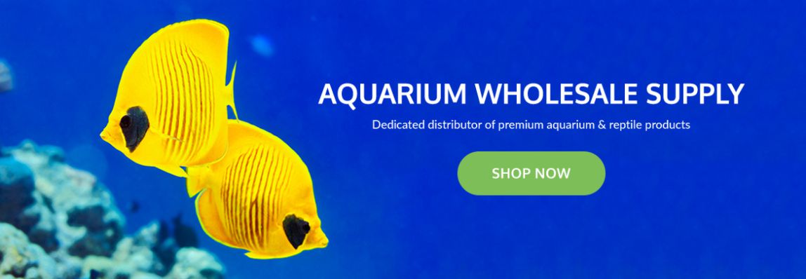 ReefH2O Wholesale Aquarium Supply - 1591234151520