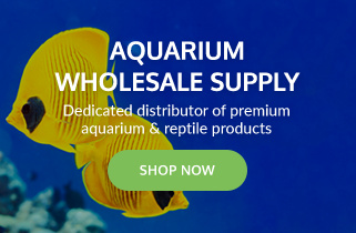 aquarium supplies wholesale